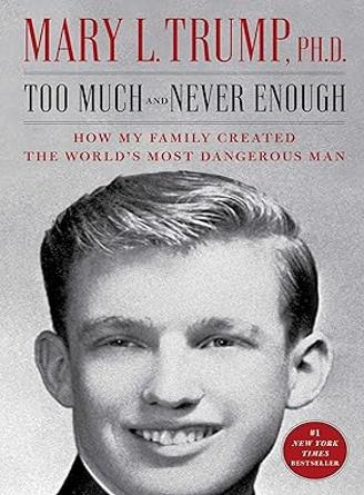 Too Much and Never Enough book cover